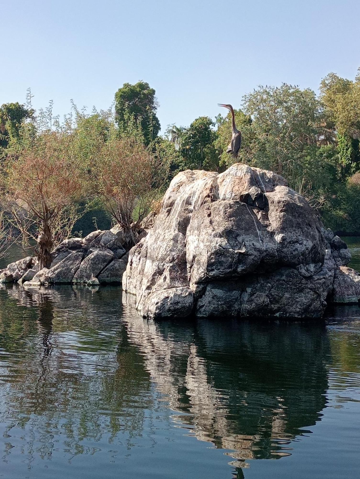 Houseboat Hotel And Nile Cruises Zainoba Assuan Esterno foto